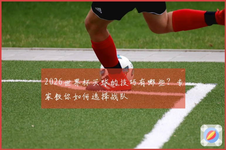 2026世界杯买球的技巧有哪些?专家教你如何选择战队