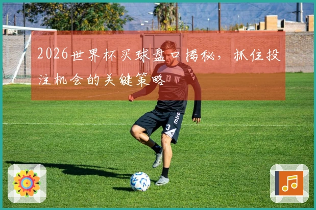 2026世界杯买球盘口揭秘，抓住投注机会的关键策略