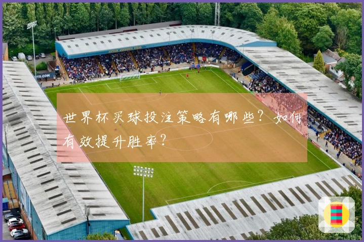 世界杯买球投注策略有哪些？如何有效提升胜率？