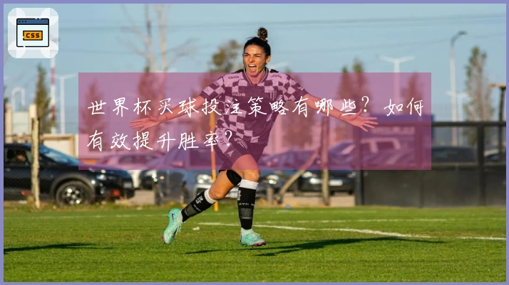 世界杯买球投注策略有哪些？如何有效提升胜率？