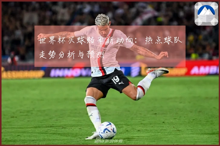 世界杯买球赔率新动向：热点球队走势分析与预测