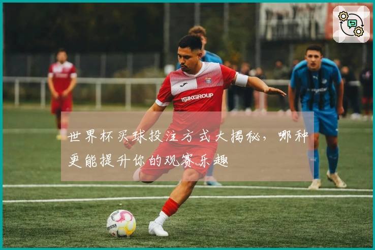 世界杯买球投注方式大揭秘，哪种更能提升你的观赛乐趣