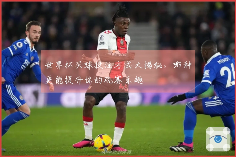 世界杯买球投注方式大揭秘，哪种更能提升你的观赛乐趣