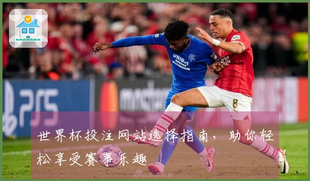 世界杯投注网站选择指南，助你轻松享受赛事乐趣