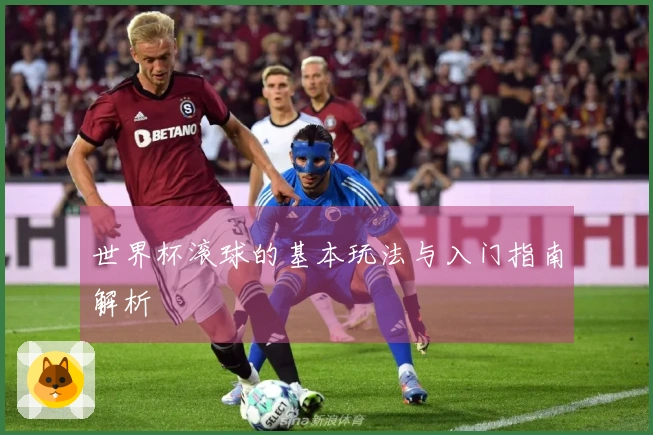 世界杯滚球的基本玩法与入门指南解析