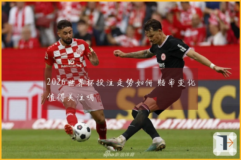 2026世界杯投注走势如何 赔率变化值得关注吗