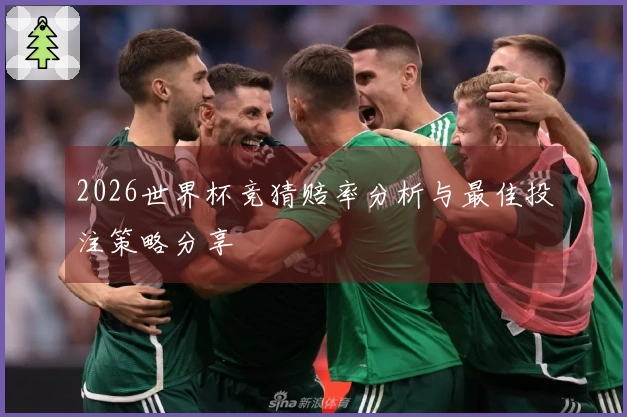 2026世界杯竞猜赔率分析与最佳投注策略分享