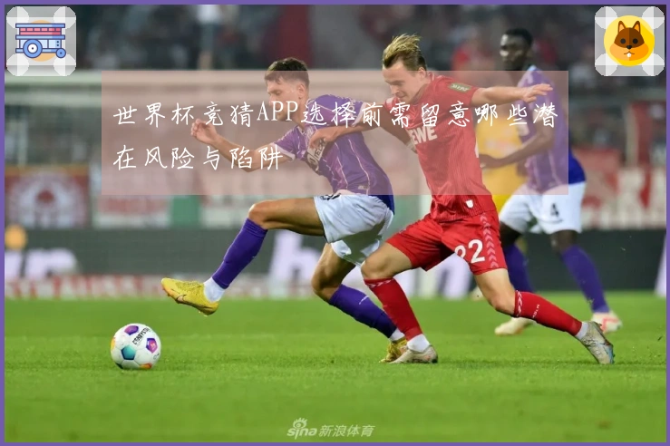 世界杯竞猜APP选择前需留意哪些潜在风险与陷阱