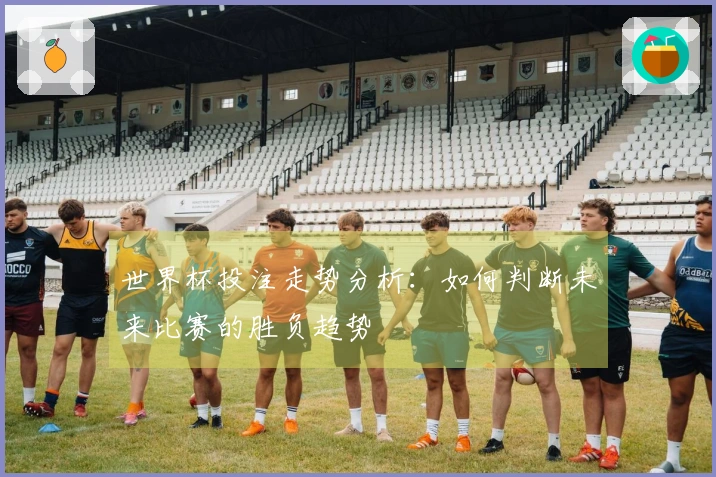世界杯投注走势分析：如何判断未来比赛的胜负趋势