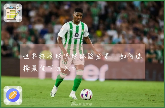 世界杯滚球买球体验分享:如何选择最佳下注入口