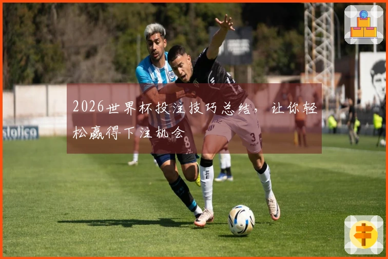 2026世界杯投注技巧总结，让你轻松赢得下注机会