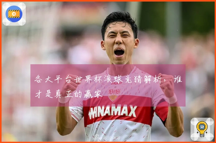 各大平台世界杯滚球竞猜解析，谁才是真正的赢家