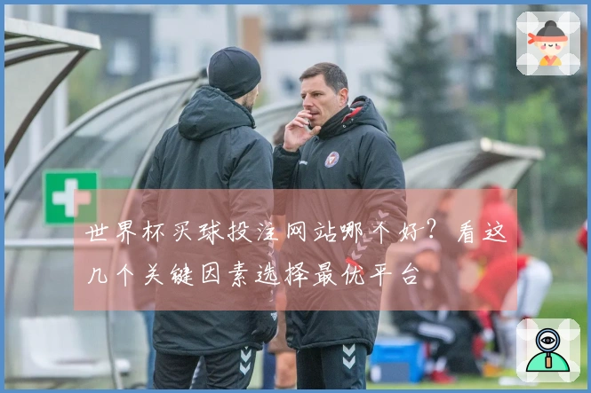 世界杯买球投注网站哪个好？看这几个关键因素选择最优平台