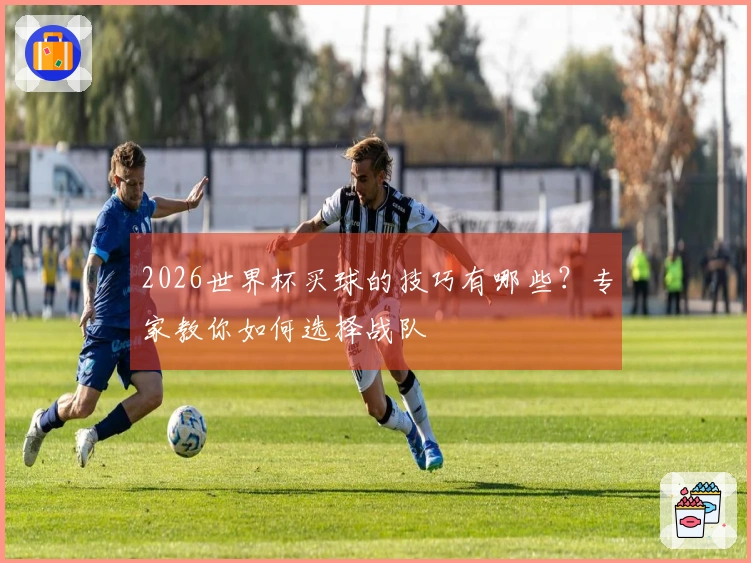 2026世界杯买球的技巧有哪些？专家教你如何选择战队