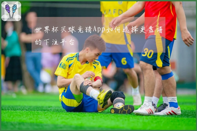 世界杯买球竞猜App如何选择更靠谱的下注平台