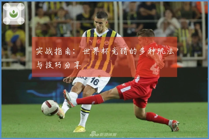 实战指南：世界杯竞猜的多种玩法与技巧分享