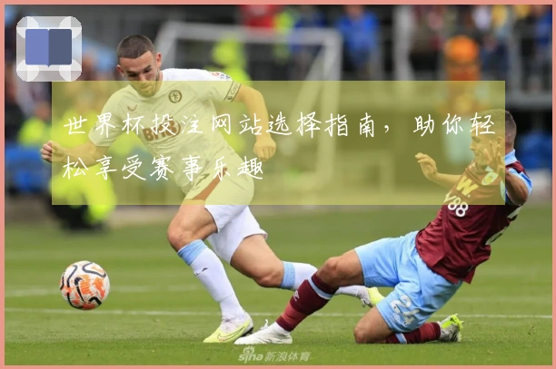 世界杯投注网站选择指南，助你轻松享受赛事乐趣