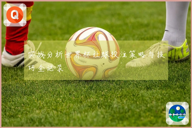 实战分析世界杯让球投注策略与技巧全记录