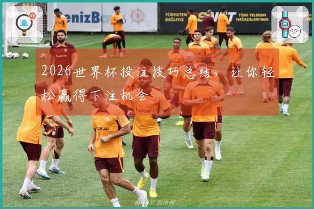 2026世界杯投注技巧总结，让你轻松赢得下注机会