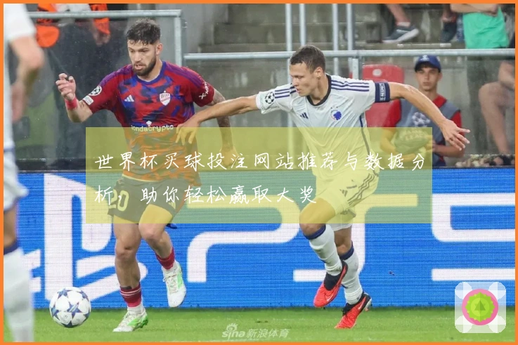 世界杯买球投注网站推荐与数据分析，助你轻松赢取大奖