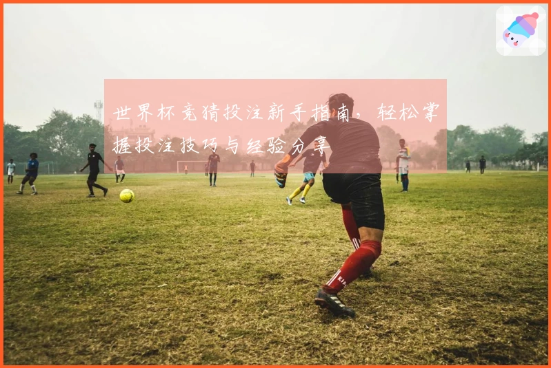 世界杯竞猜投注新手指南，轻松掌握投注技巧与经验分享